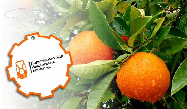 ФОРМА 004