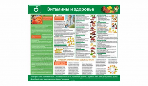 Стенды медицинской подготовки