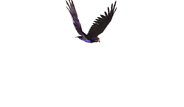 GIF анимация